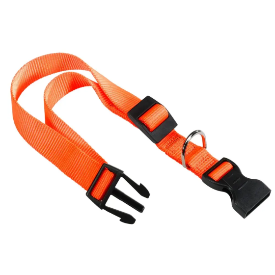 Нейлоновый ошейник для собак Ferplast Club C (Ферпласт Клуб С) С15/44 - A: 30-44 cm B: 15 mm, Оранжевый Запорожье