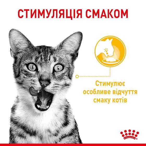 Вологий корм для дорослих котів ROYAL CANIN SENSORY MULTIPACK GRAVY, 12 паучів Київ