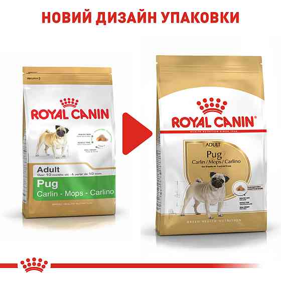 Корм для дорослих собак породи Мопс ROYAL CANIN PUG ADULT 1.5 кг Київ