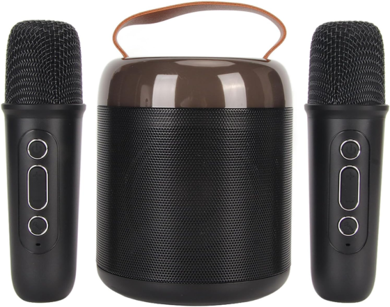 Караоке-машина Y2 Bluetooth 5.3 з 2 мікрофонами, портативна колонка з RGB-підсвічуванням, акумуляторна, чорна Київ