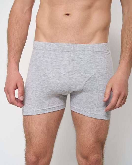 Трусы-шорты мужские однотонные - Tom John 2101-3K XXL, Серый Киев - изображение 3