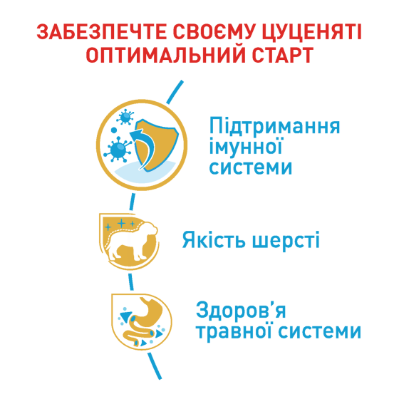 Корм для цуценят собак породи Пудель ROYAL CANIN PUPPY POODLE 0.5 кг Киев