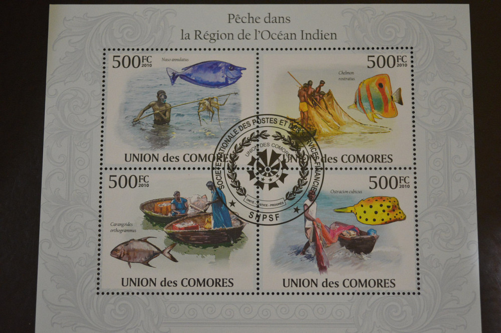 Коморы. Марки. Фауна. Блок. 2009 год (В-5) Полтава - изображение 1