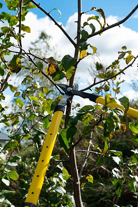 Гілкоріз "John Gardener" тип лез ножицевий, телескопічні ручки, для гілок до 35мм Київ - фото 10