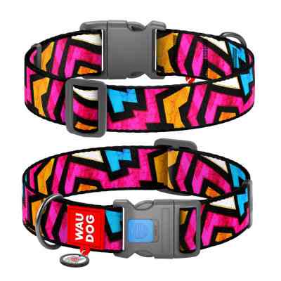 Нашийник для тварин WAUDOG Nylon з QR паспортом "Графіті" пластиковий фастекс Ш 10 мм Д 20-30 см (5232) Вінниця
