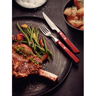 Набір столових приборів Tramontina Barbecue Polywood 12 предметів червоне дерево (21199/709) Вінниця - фото 4