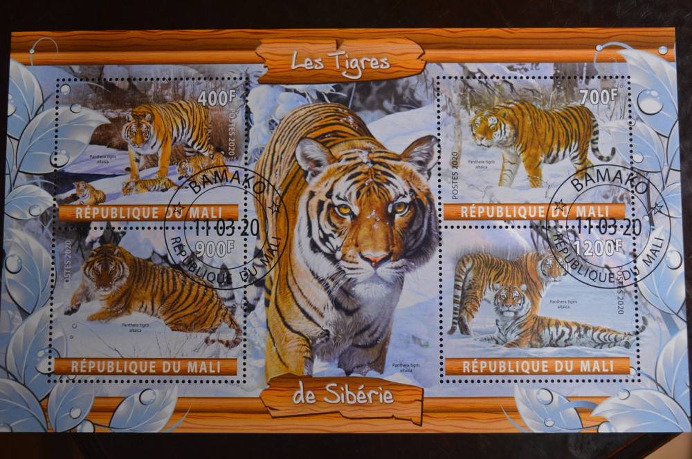 Мали. Марки. Фауна. Блок. 2020 год (В-2) Полтава - изображение 1