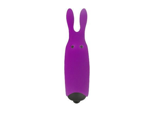 Вібратор - Adrien Lastic Pocket Vibe Rabbit Purplle Sex Aura Київ - фото 1