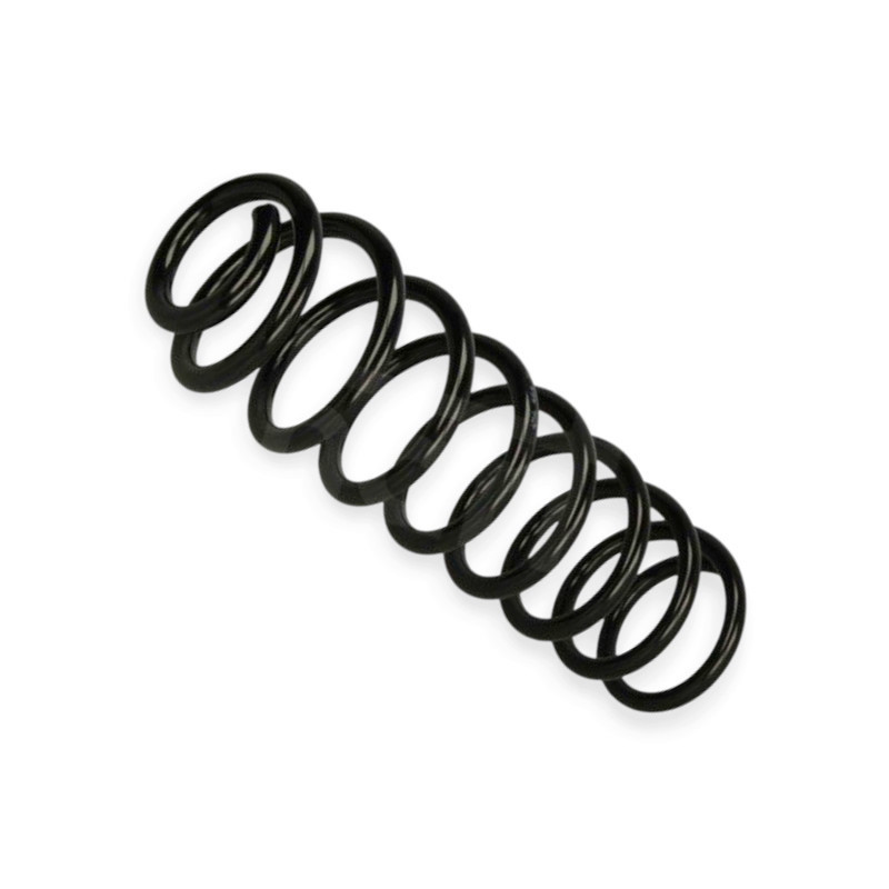 Пружина Renault Megane II универсал задняя Мукачево - изображение 1