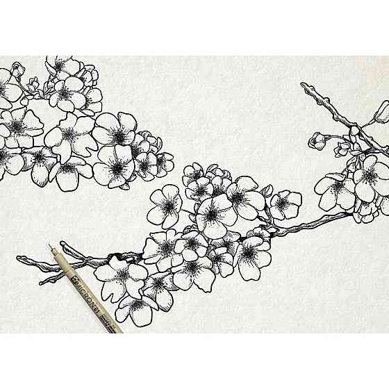 Набір лінерів PIGMA MICRON DESIGN 3 шт Sakura Київ