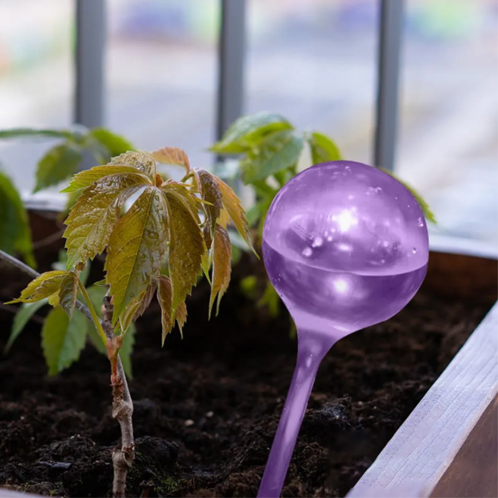 Колба для автоматического полива | Вазон в виде шара для сада, 4шт, капельный полив для растений, фиолетовый Каменец-Подольский - изображение 2