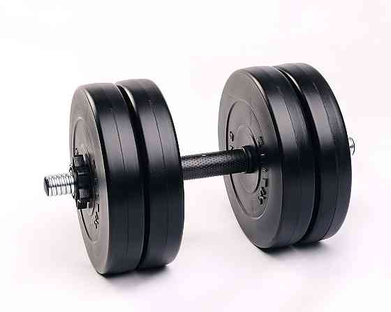 Гантель разборная Elitum 21 кг, композит, для тренировок дома и в спортзале Киев