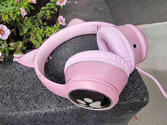 Провідні навушники AKZ-022 ( Б клас) Луцк