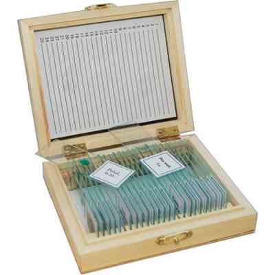 Набор микропрепаратов Sigeta Різне 1 25 шт (65107) Винница