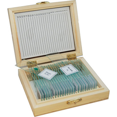 Набор микропрепаратов Sigeta Різне 1 25 шт (65107) Винница - изображение 1