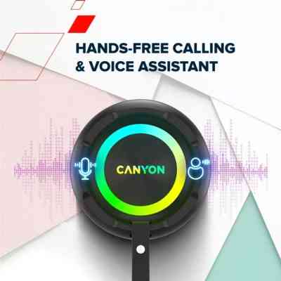 Акустическая система Canyon OnMove 11 Black (CNE-CBTSP11) Винница