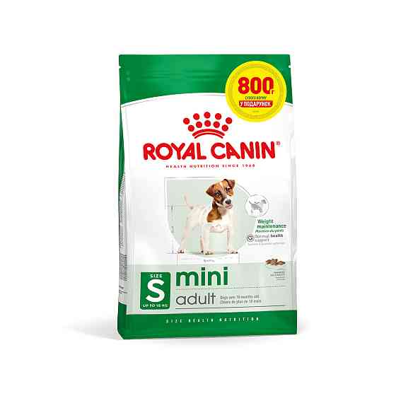 Корм для взрослых собак ROYAL CANIN MINI ADULT 3.2 кг + 800 г в подарок Киев