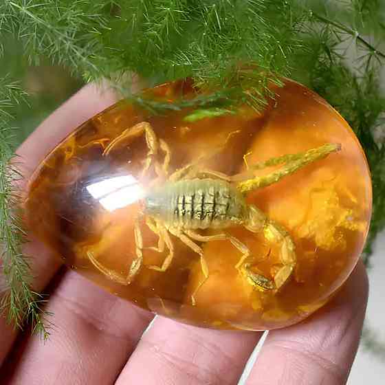 Скорпион в янтаре 5.5*4 см янтарный камень с насекомым, инклюзы в янтаре, имитация янтаря Киев