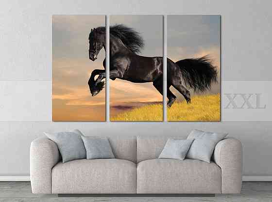 Модульна картина Кінь Природа Art-87_XXL Київ