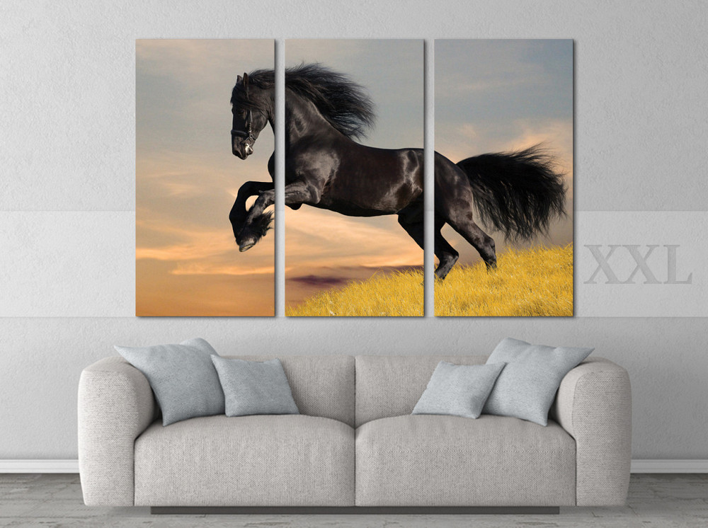 Модульна картина Кінь Природа Art-87_XXL Київ - фото 2