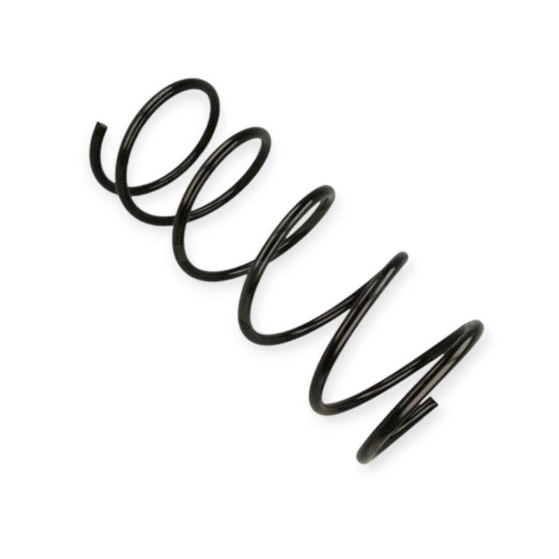 Пружина Пежо 206 2.0HDi 99- передняя Мукачево - изображение 1