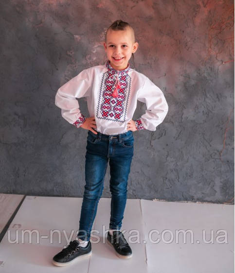 Вишиванка для хлопчика "Легенда" червона із синім р.110 Кривий Ріг - фото 1