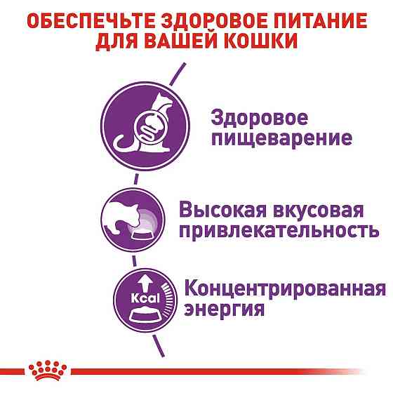 Royal Canin Sensible 33 (Роял Канін Сенсібл) сухий корм для котів при слабій травній системі з 12 міс. 4 кг. Запоріжжя