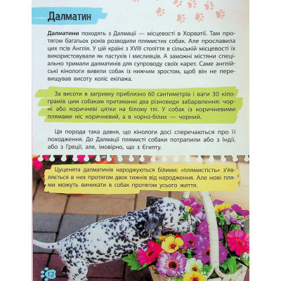 Книга Мініенциклопедія. Хатні улюбленці Vivat (9789669827241) Вінниця - фото 7