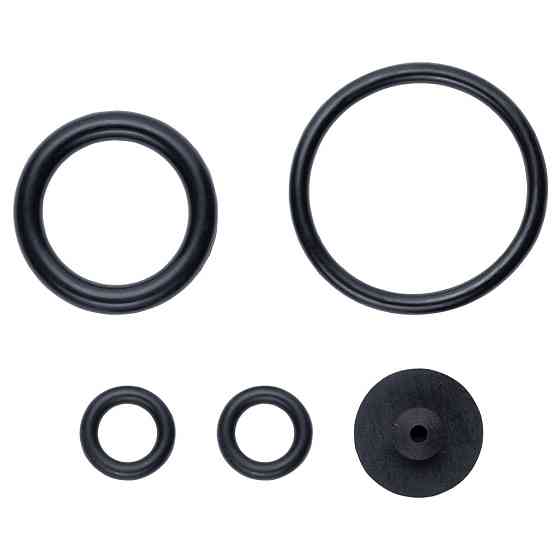 Опрыскиватель пневматический 5л FLORA (5003224) Киев