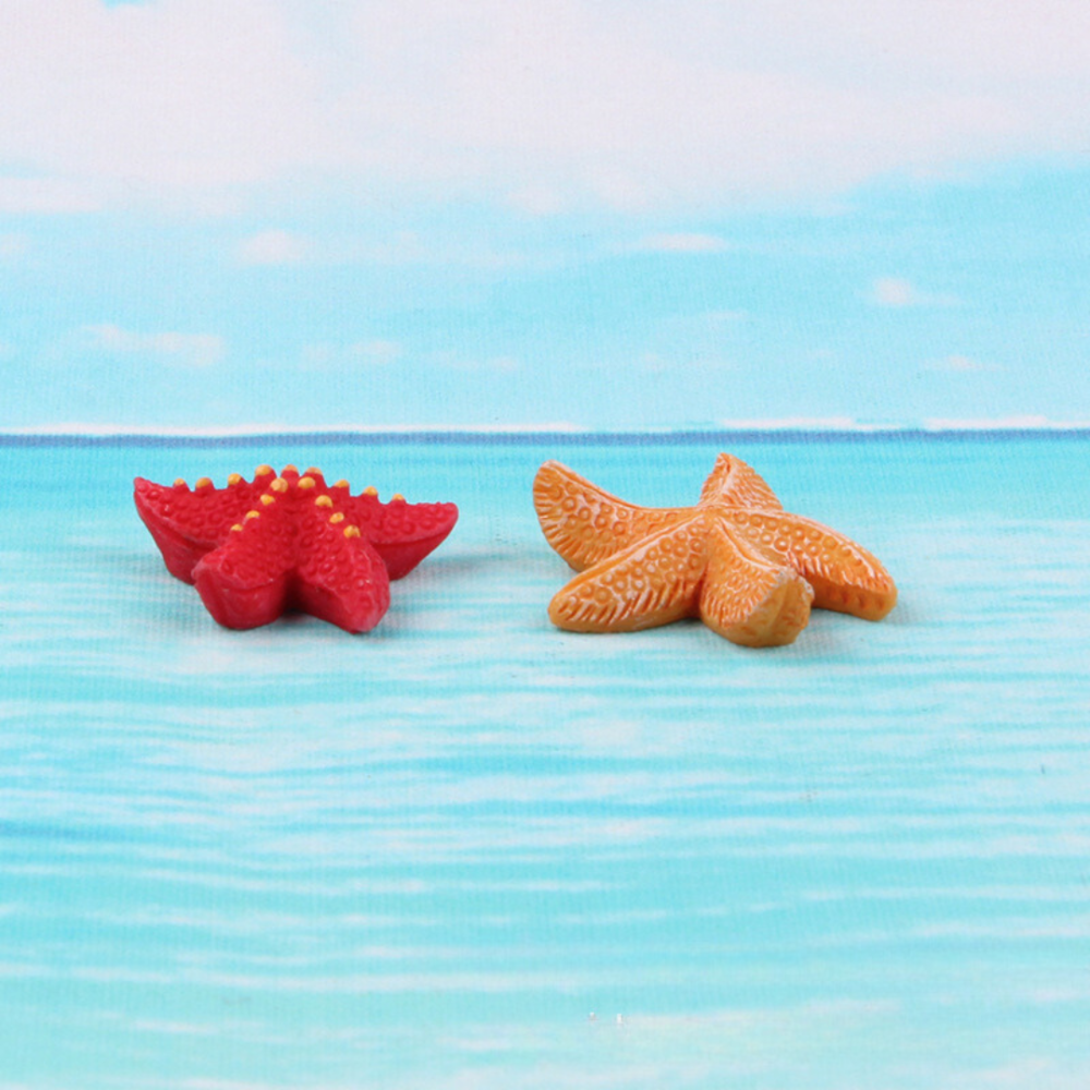 Декоративная Морская звезда для флорариума, минм-сада, микроландшафта, песочного стола, аквариума Одесса - изображение 4