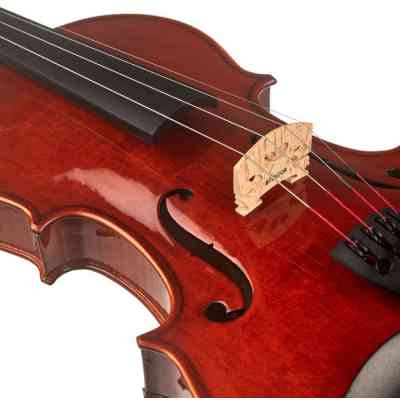 Скрипка Stentor Conservatoire Violin Outfit 4/4 (1550A) Вінниця