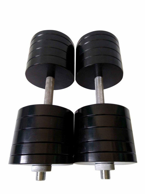 Гантелі набірні 2 по 48 кг Гантелі, гирі, штанги та диски металеві з порошковим фарбуванням Київ - фото 1