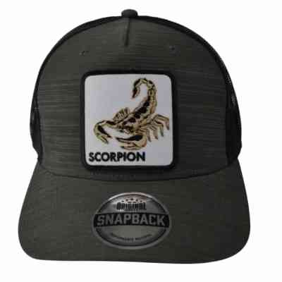 Кепка coFEE Five panels snap Scorpion сірий (SH2026.7/8) Вінниця