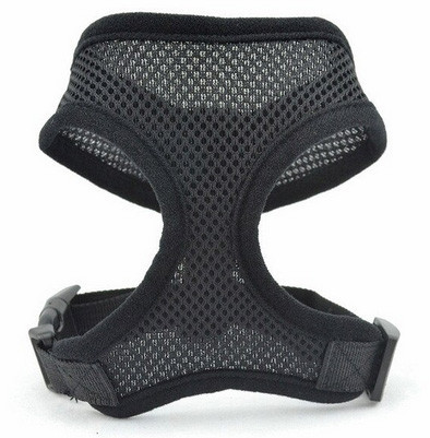 Нашийник для собак дрібних порід чорний Київ - фото 1