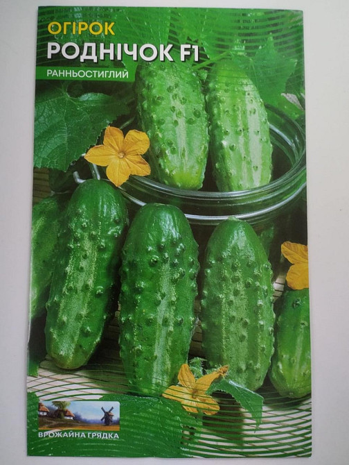 Огурец  