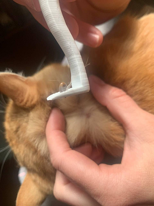 Кліщ – out. Пристрій для швидкого витягання кліща. Дніпро - фото 3