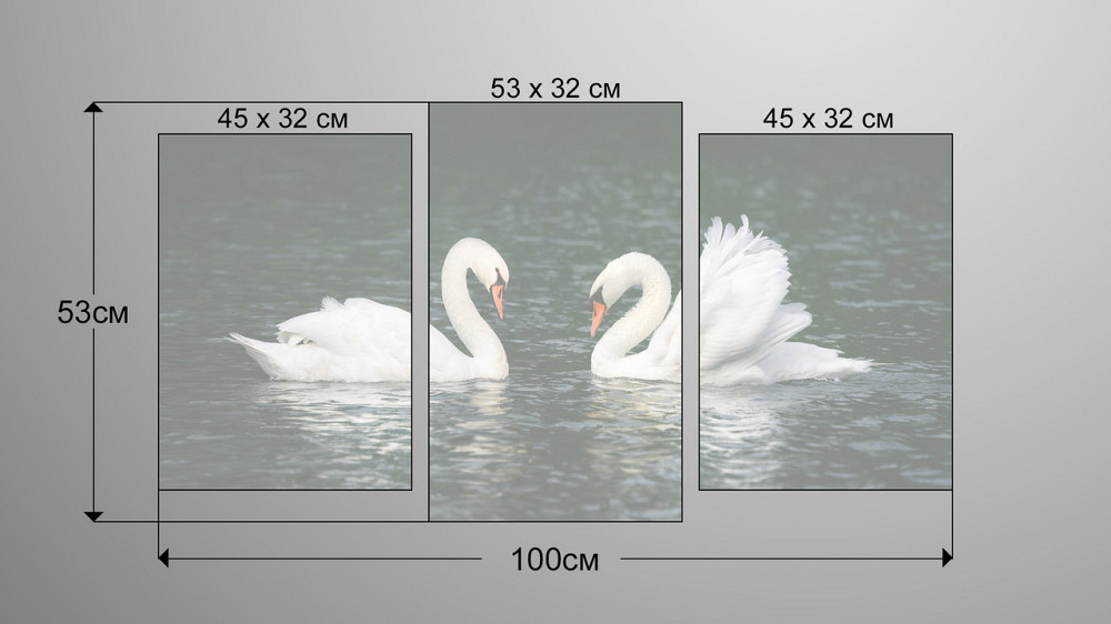 Модульная картина Лебеди Art-182_3 Киев - изображение 3