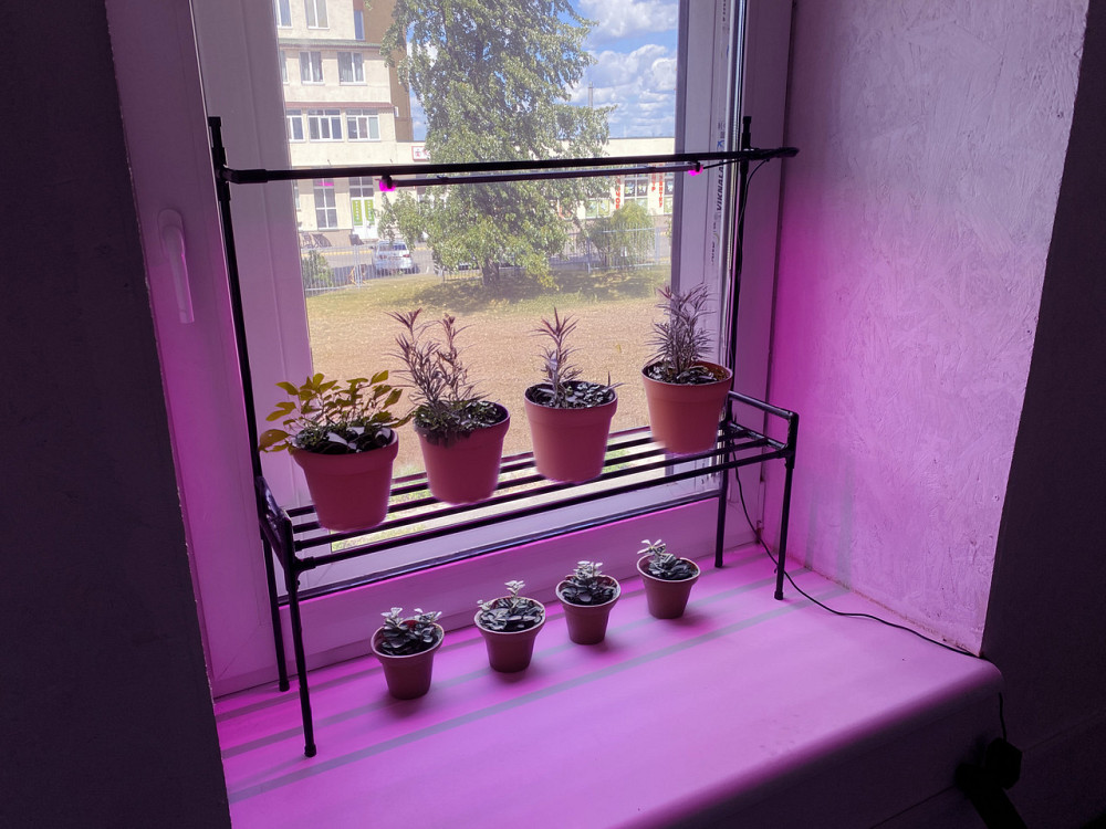 Підставка для квітів на підвіконня Lucia Bicolor з фітолампою. Полиця для квітів на вікно Борисполь - изображение 2