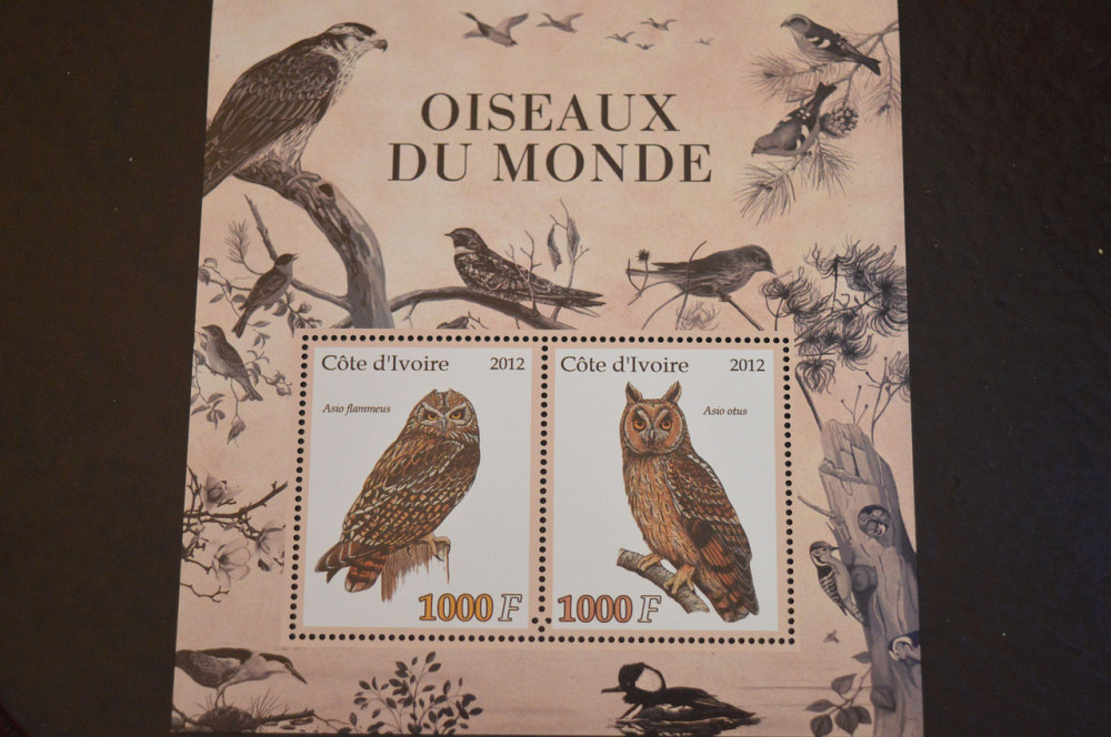 Кот-д’Ивуар. Фауна. Блок. 2015 год (В-6) Полтава - изображение 1