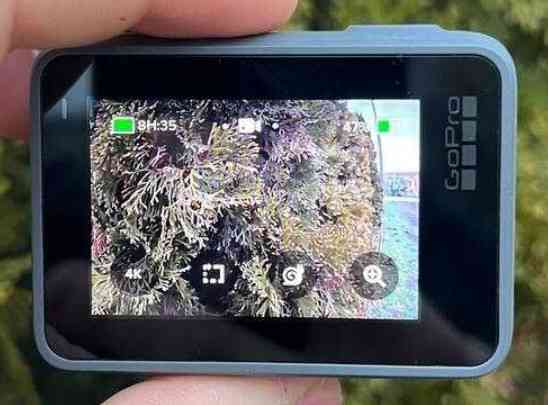 Екшн-камера GoPro Hero 7 Action Camera Silver. Киев