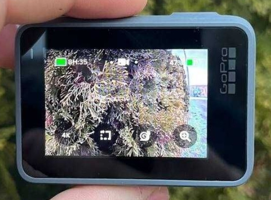 Екшн-камера GoPro Hero 7 Action Camera Silver. Киев - изображение 1