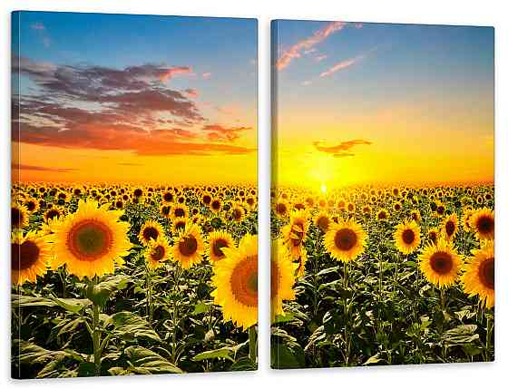 Модульна картина в вітальню/ спальню Соняшник TLV-2_073 70x102 см Київ