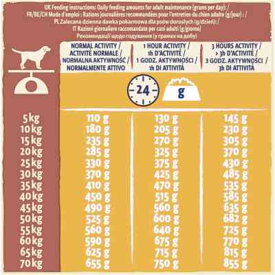 Сухий корм для собак Purina Dog Chow Active Adult зі смаком курки 14 кг (7613034487933) Вінниця