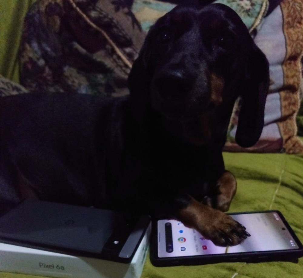 Телефон Google Pixel 6a, 6/128Gb. Новий Київ - фото 8