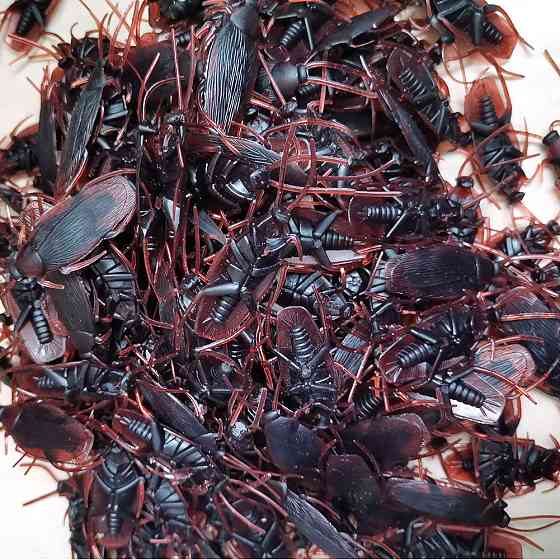 Искусственные тараканы 10 штук 14 на 45 мм коричневый Киев