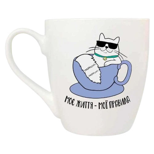 Чашка Моє життя - мої правила 500мл (подарункова уп) 5035 Кварта Житомир