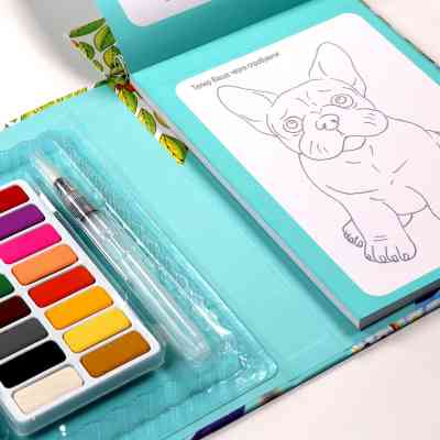 Набор для творчества IHeartArt с акварельными красками Акварельные фантазии (8002) Винница