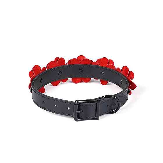Ошейник с поводком Liebe Seele Flower Rhythm - Black and Red Leather Flowers collar with Leash Sex Aura Киев