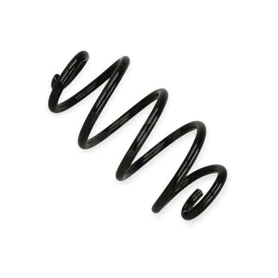 Пружина Renault Clio III, Modus 1.2-2.0i, 1.5dCi 04- задняя Мукачево