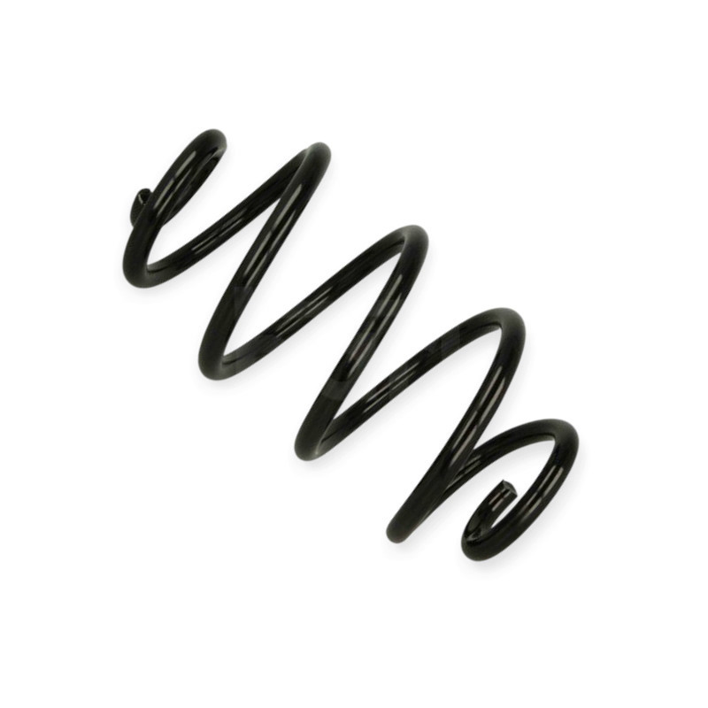 Пружина Renault Clio III, Modus 1.2-2.0i, 1.5dCi 04- задняя Мукачево - изображение 1